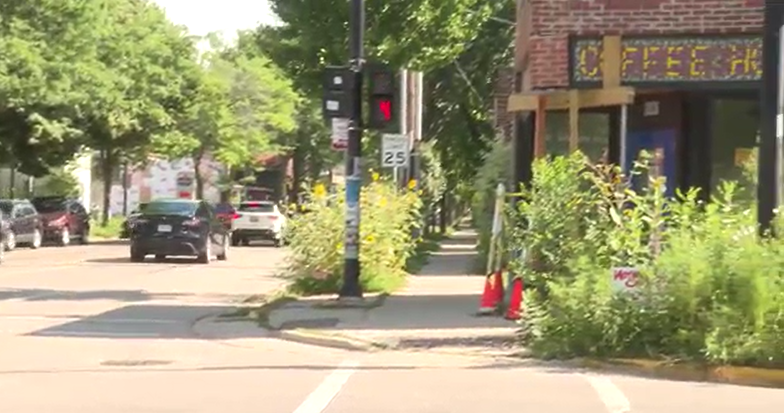Madison Common Council rejects Willy Street financial relief fund