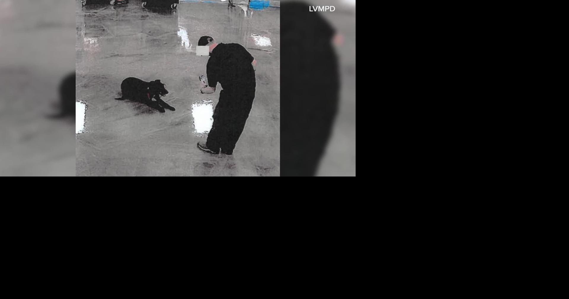 New arrest report details alleged abuse at Las Vegas dog training business; 2 charged