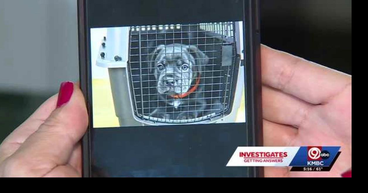 Kansas woman scammed out of $1,500 in Facebook puppy purchase