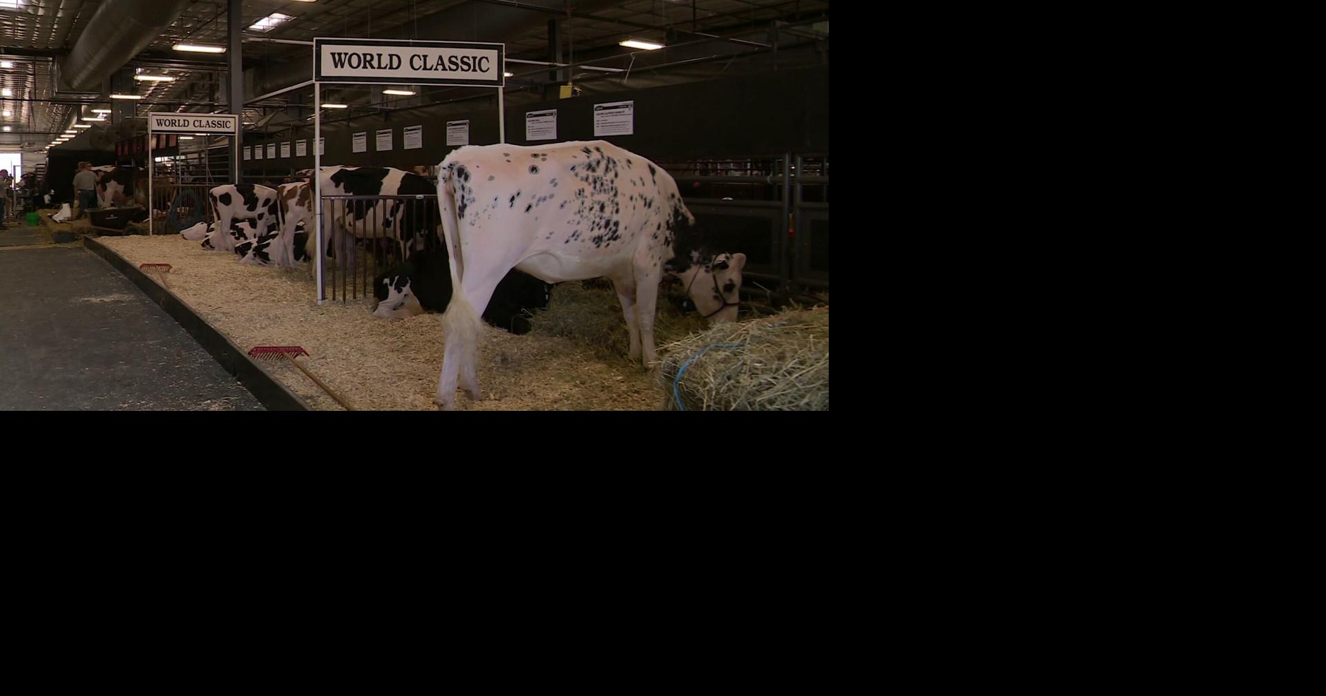 World Dairy Expo to remain at Alliant Energy Center after fiveyear