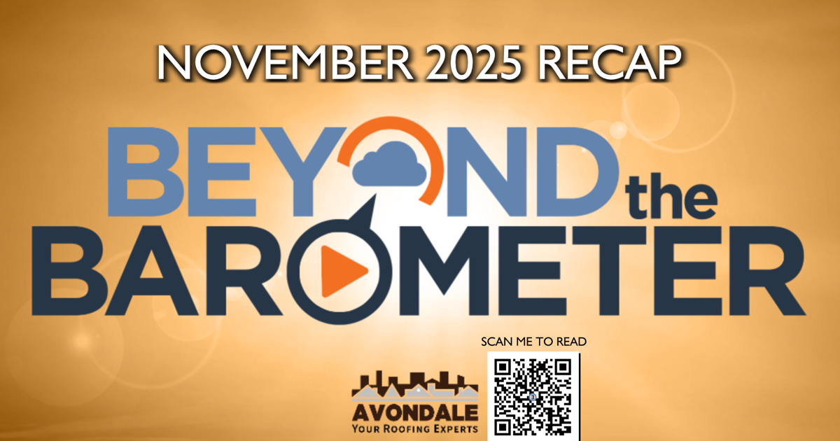 Beyond the Barometer: November 2025 and January - November recap