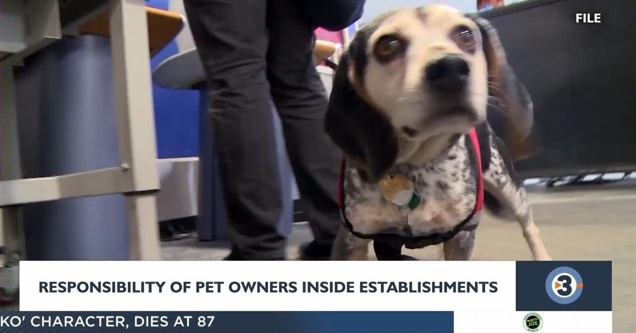 After dog bite at Goodwill, a look at owner responsibility when having dogs in establishments - Vimarsana News