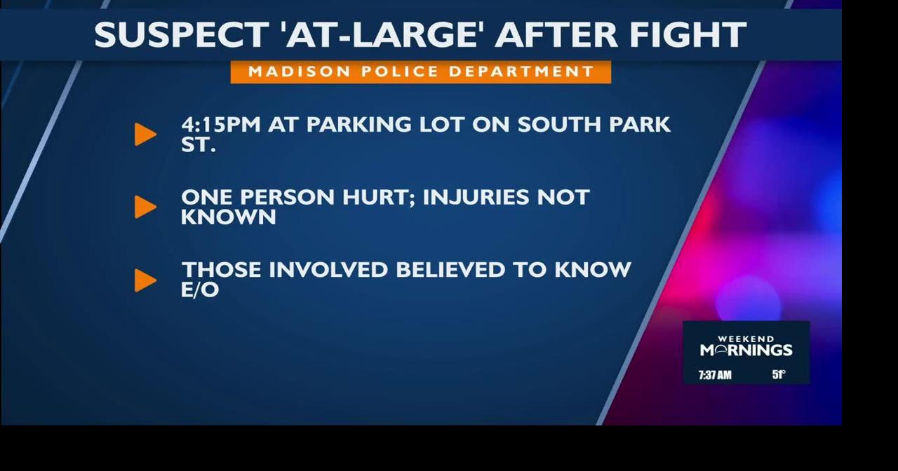 Suspect 'at-large' after fight in Madison | Video | channel3000.com