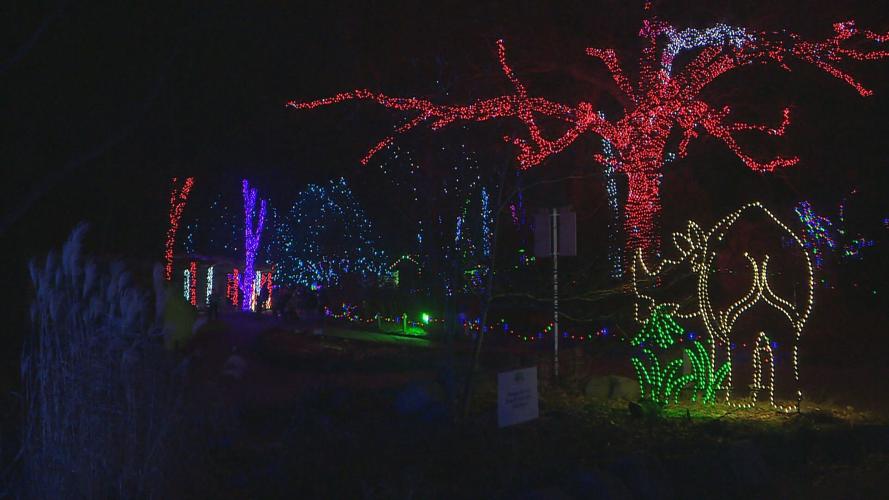 Holiday light display returns at Henry Vilas Zoo after early