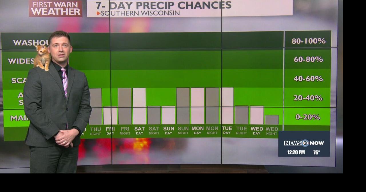 First Warn Weather with kittens! | Video | channel3000.com