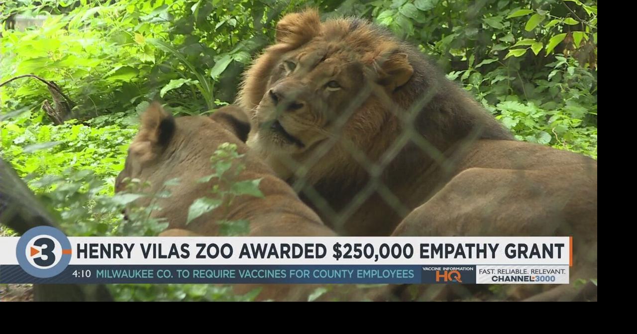 Henry Vilas Zoo receives $250,000 grant for wildlife empathy | Local ...