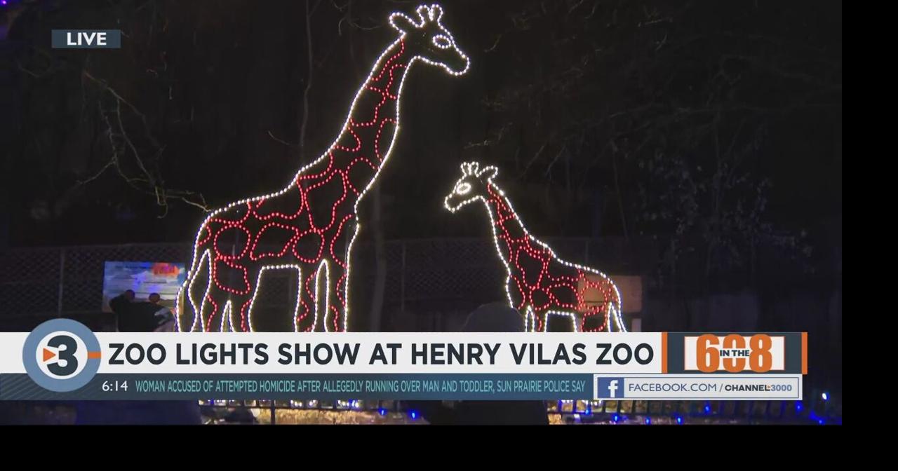 In the 608 “Zoo Lights” show at Henry Vilas Zoo Family