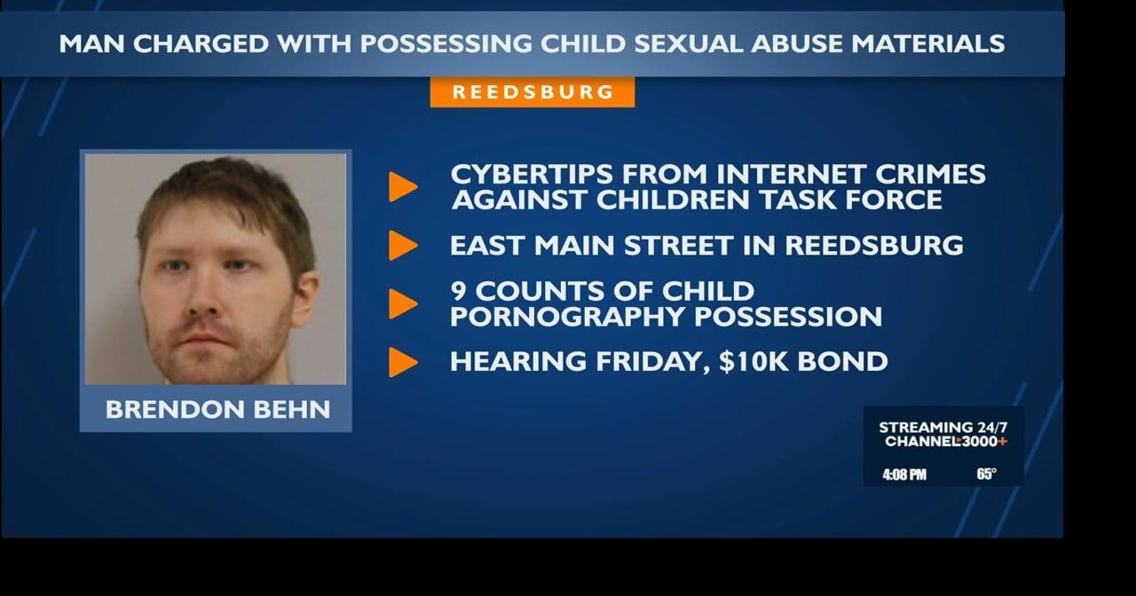 Reedsburg man charged with possessing child sexual abuse materials ...