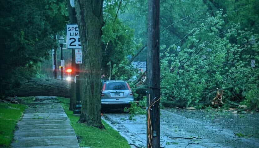 PHOTOS: Severe storm topples trees, knocks out power to thousands ...