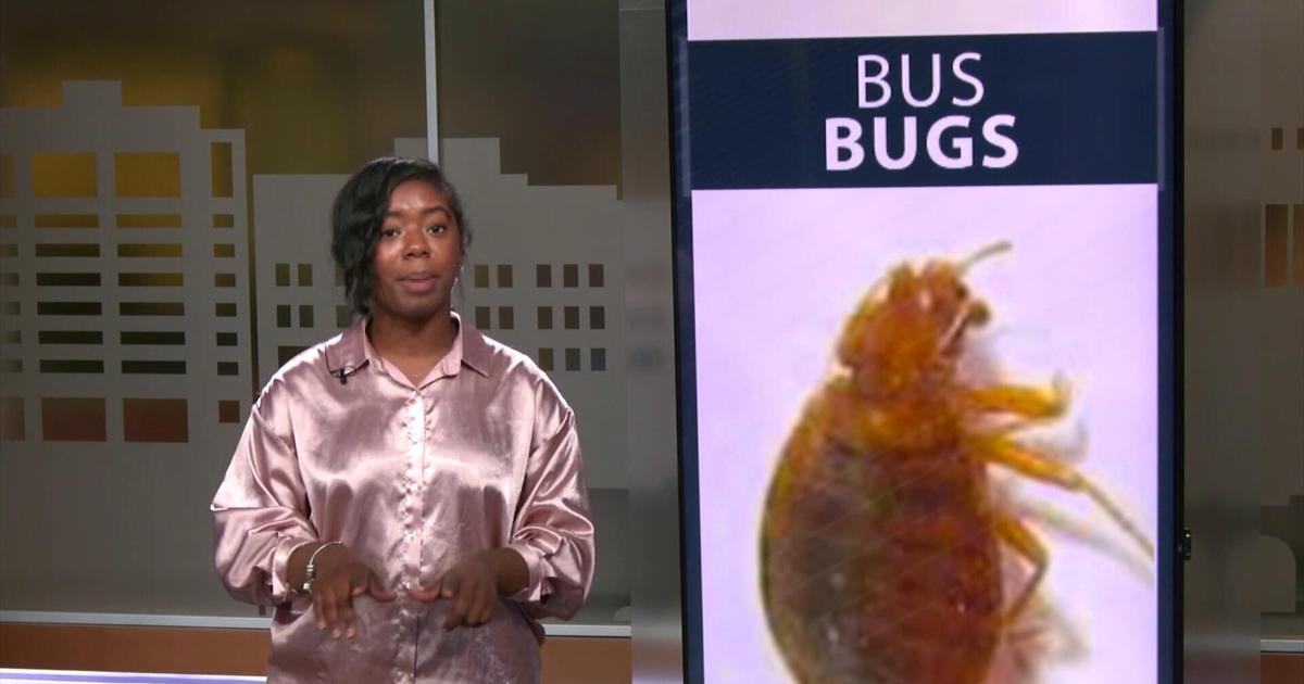 Madison Metro Transit responds to bed bug sightings on buses ...