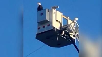 Eagle becomes part of firefighters’ 9/11 tribute