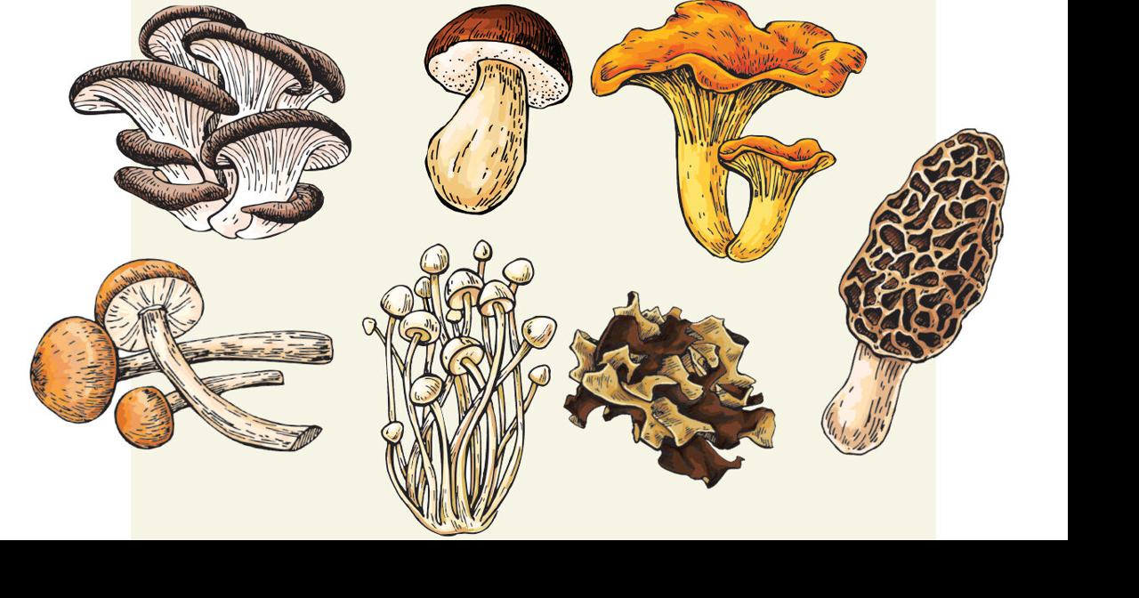 Mushrooms are the future: Introducing the Summer 2022 campaign