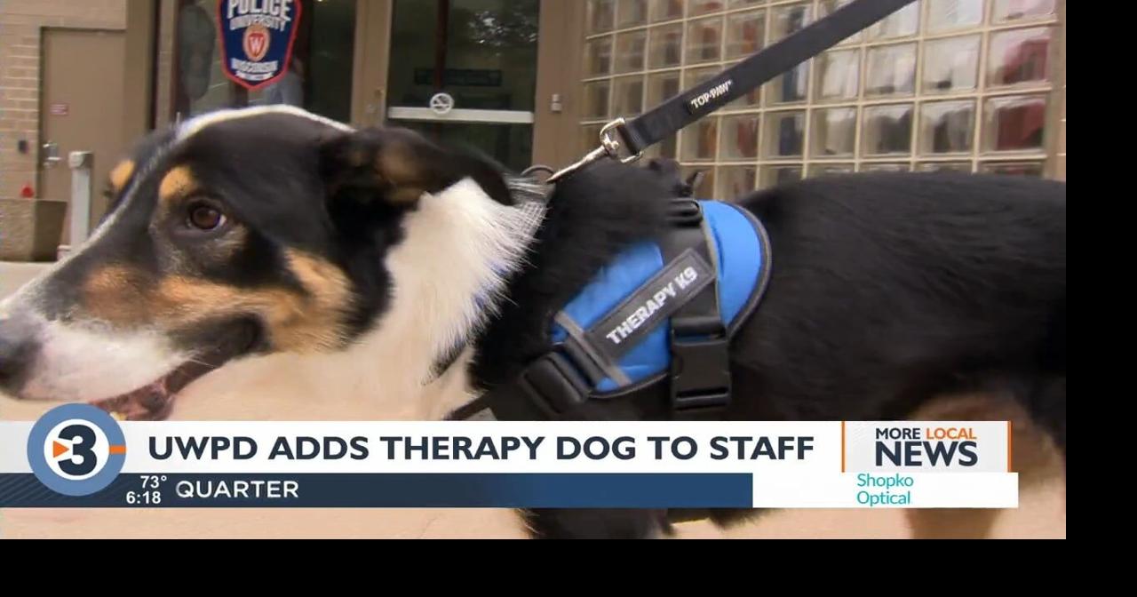 UWPD introduces its first therapy dog | News | channel3000.com