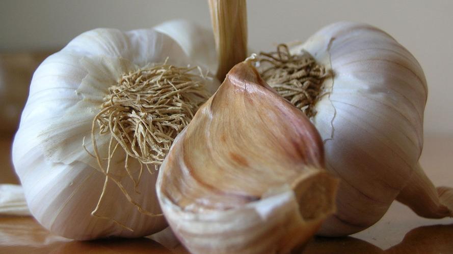 9 ways to combat mosquitoes naturally Entertainment News