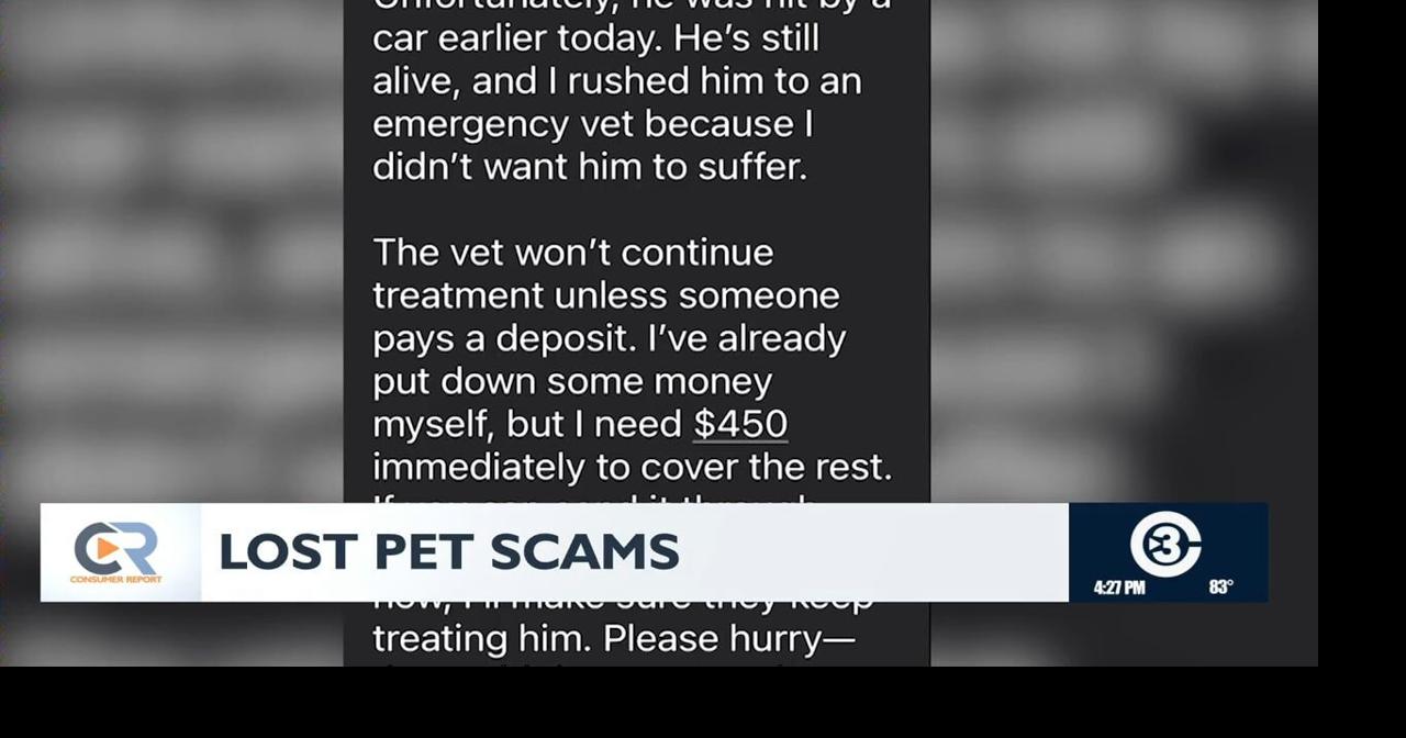 Officials warn pet owners about lost pet scams