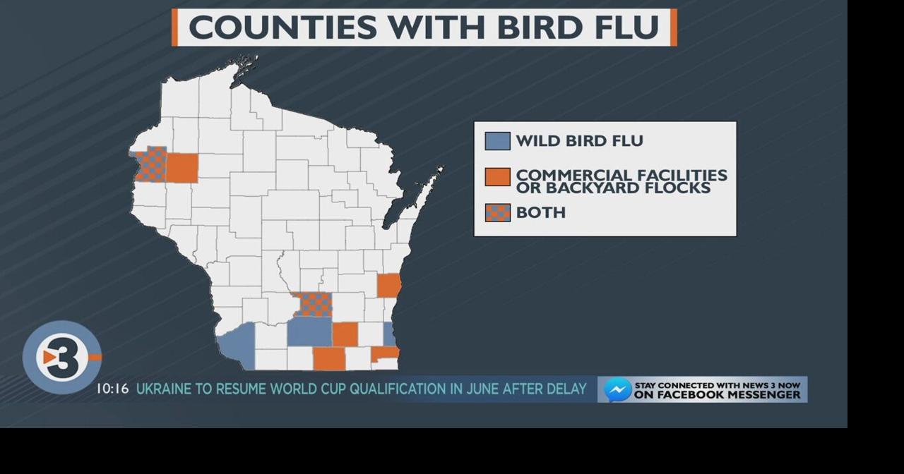 DATCP: Bird flu found in flocks in three more Wisconsin counties ...
