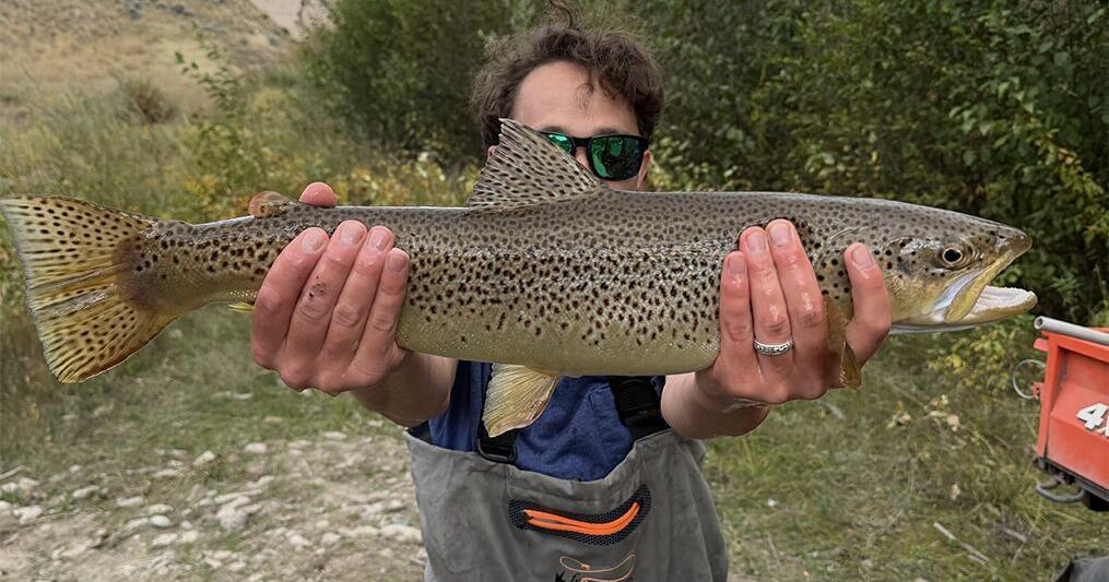 Fish rescue marks milestone in Jocko River restoration By Liz Dempsey Information and Education Program Manager CSKT NRD Division of Engineering and Water Resources Oct 8, 2026 5 mins ago