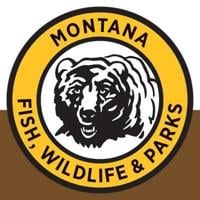 Bear incidents in southwest Montana a reminder for hunters to be vigilant
