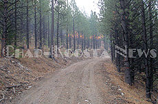 McGinnis Cabin Stewardship Project deemed a success