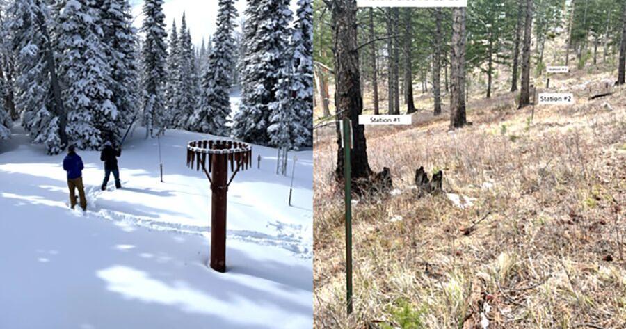 Snowpack deficits continue to grow across Montana as unseasonably warm temperatures persist