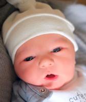Hudson Sander