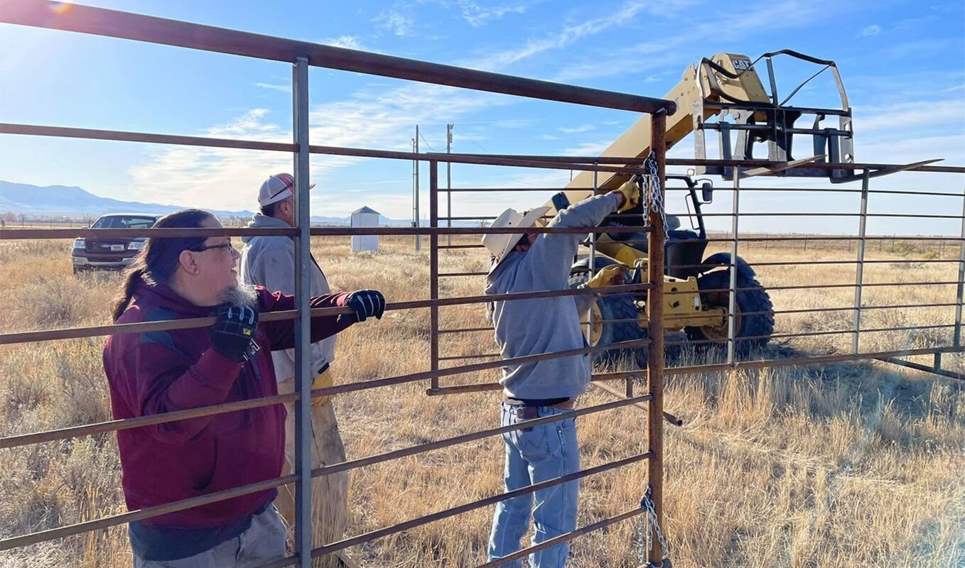 Flathead Nation contributes more than bison to the Rocky Boys Reservation
