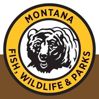 Paddlefish season opens May 1 on Upper Missouri River - Vimarsana News