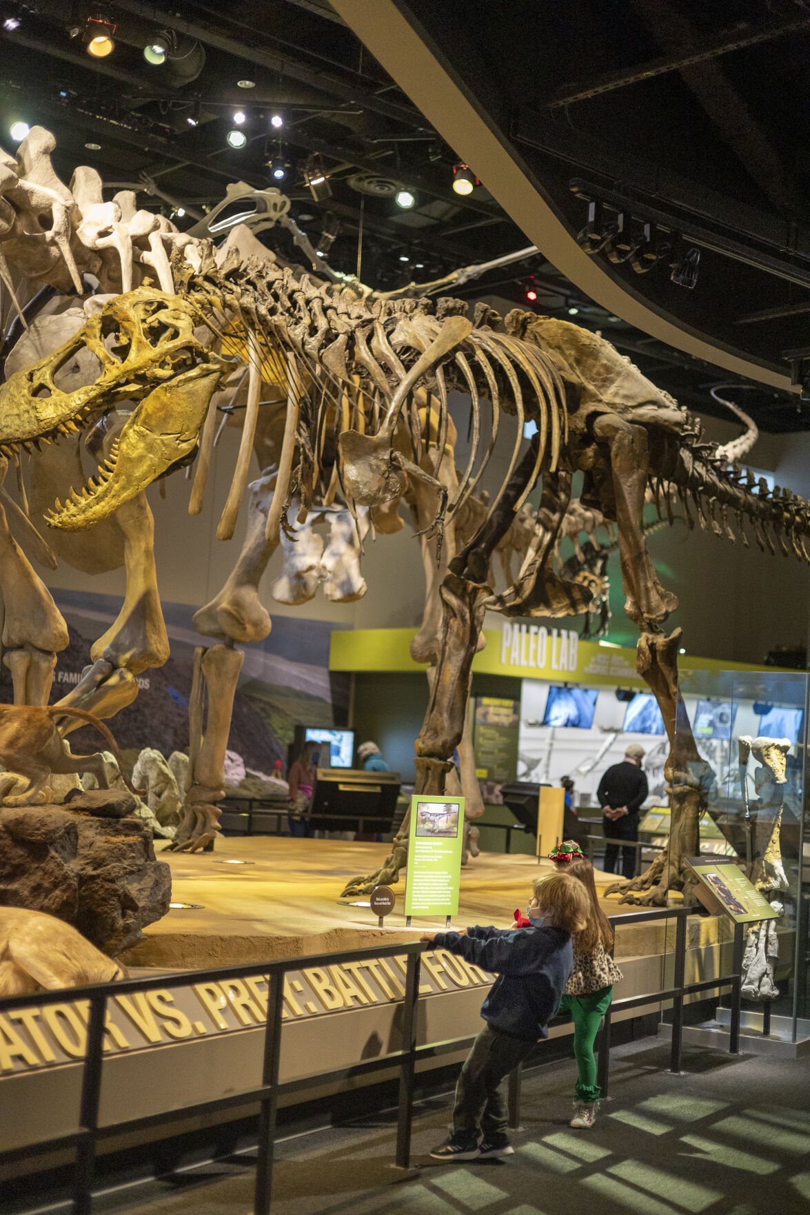 Perot museum medicaid discount best sale