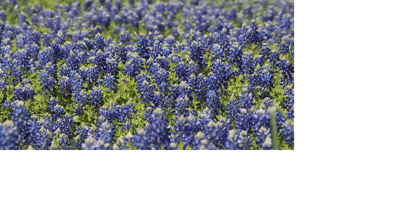 These Texas cities named two of the most colorful places to visit in ...
