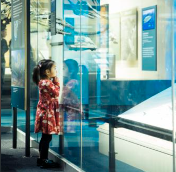 All the things you should know about the Perot Museum of Nature and Science  before you go, Things To Do