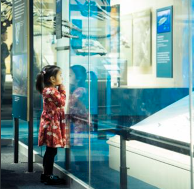 All the things you should know about the Perot Museum of Nature