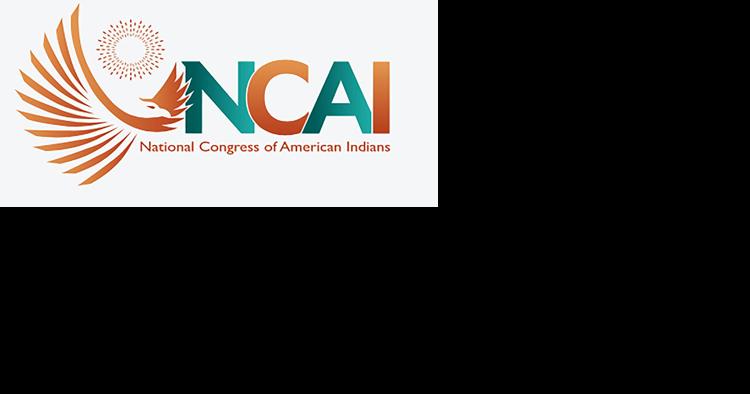 Bid to limit influence of state tribes at NCAI fails - Vimarsana News
