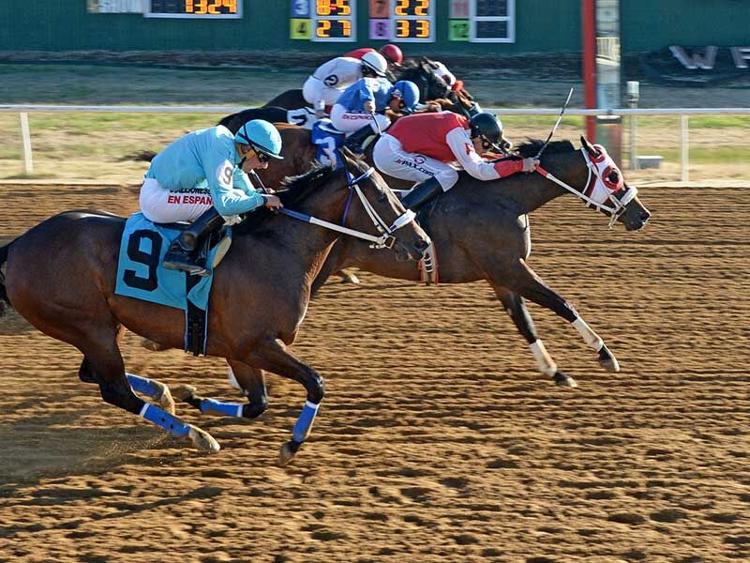 Will Rogers Downs opens fall racing schedule Sept. 12 Money