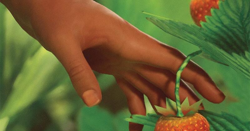 Estreno en DeadCenter de «El origen de las fresas». entretenimiento Estreno en DeadCenter de «El origen de las fresas». entretenimiento