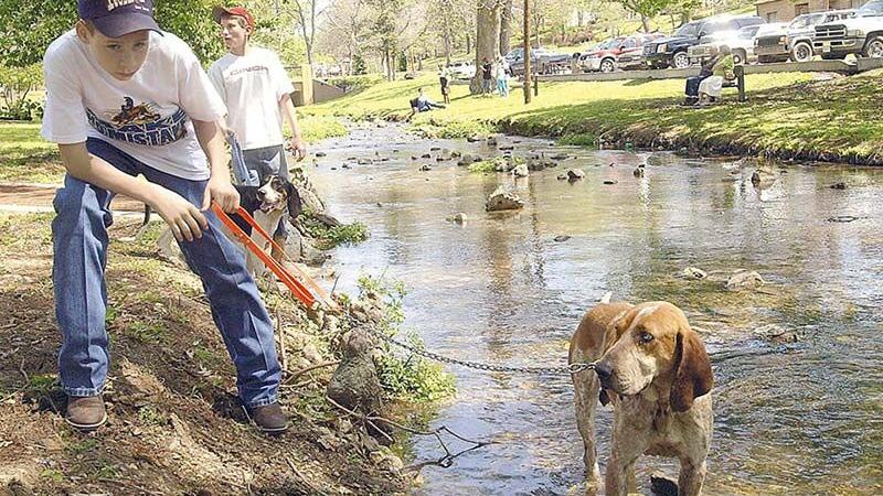 Tahlequah S Red Fern Festival Set For April 28 News Cherokeephoenix Org Red Fern Festival 2022