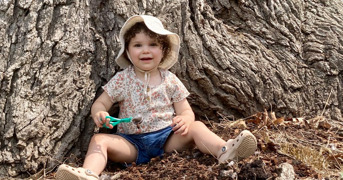 Creeping, crawling, floating and fluttering fun is part of ‘Ozark Bug ...