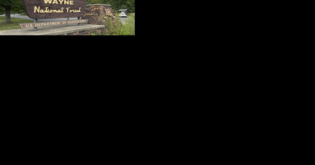 Founding father Gen. Anthony Wayne's legacy is getting a second look at Ohio's Wayne National Forest - Vimarsana News