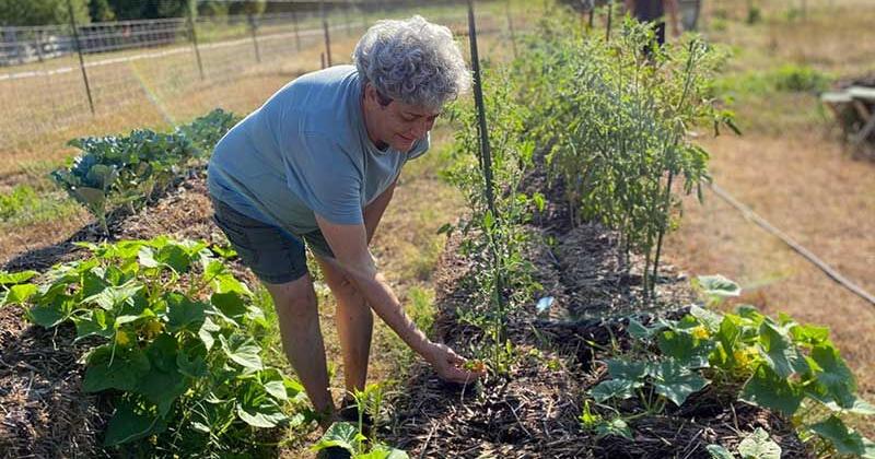 Longshadows Ranch provides Cherokee life ways experience - Vimarsana News