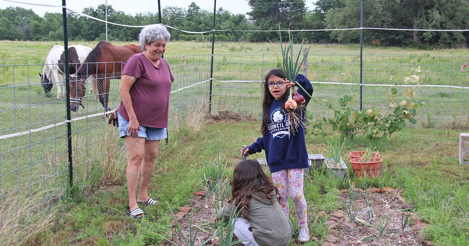 Longshadows Ranch teaches sustainable lifeways - Vimarsana News