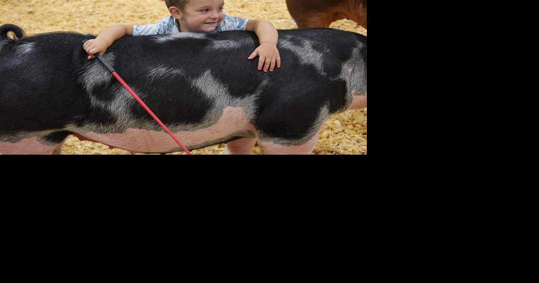 CNH Youth Livestock Jackpot Show returns for third consecutive year