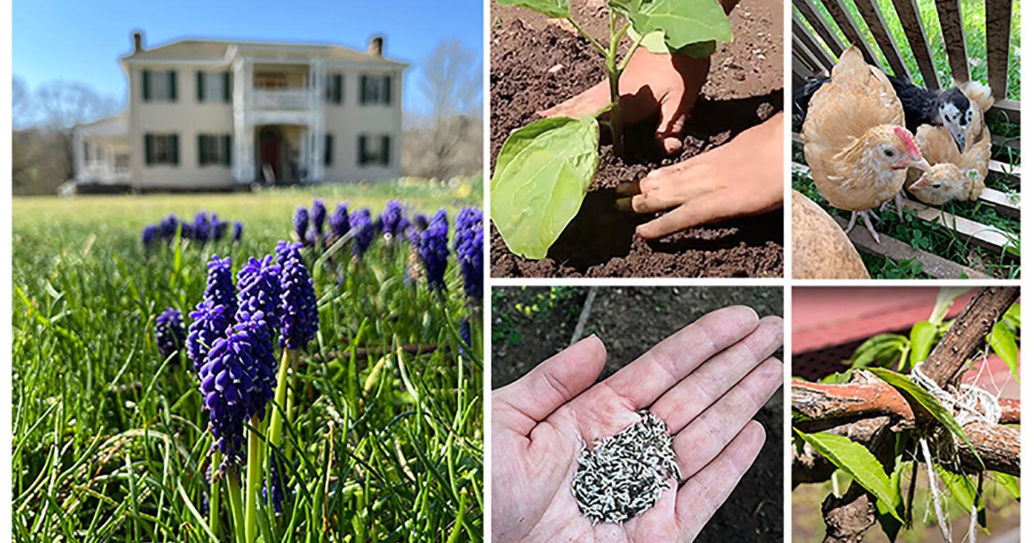 Learn about 19th-century agriculture at Hunter's Home on May 4 | News - Vimarsana News