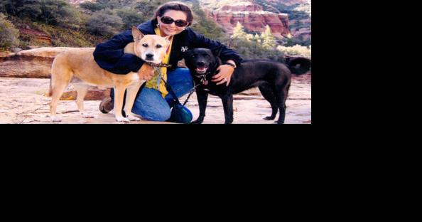 West Meyer recounts "dog vacations" through second book series | People - Vimarsana News