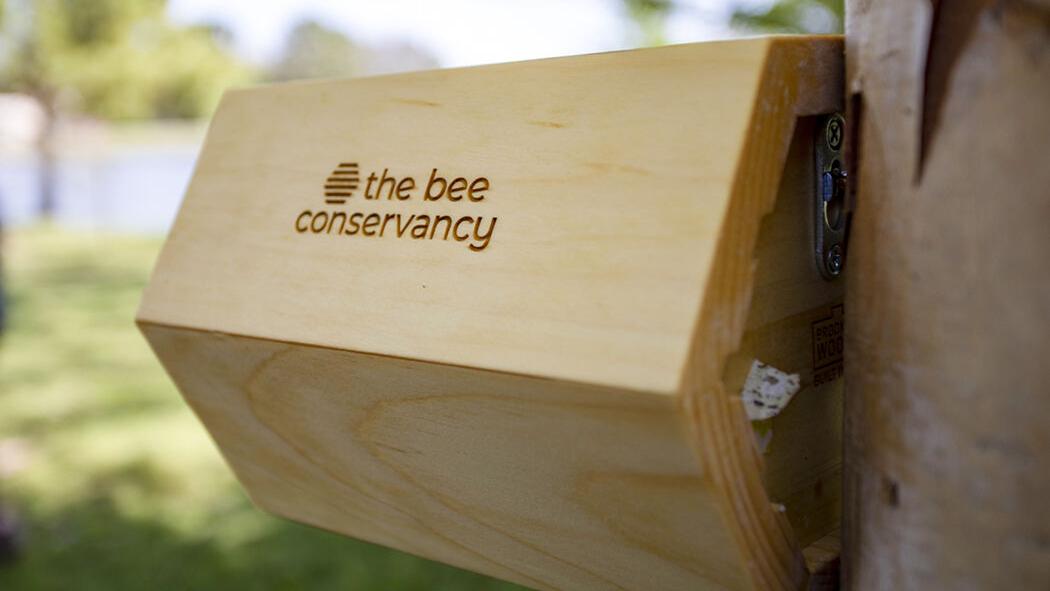 Cherokee Nation installs 2 bee pollinator homes provided by The Bee Conservancy - Vimarsana News