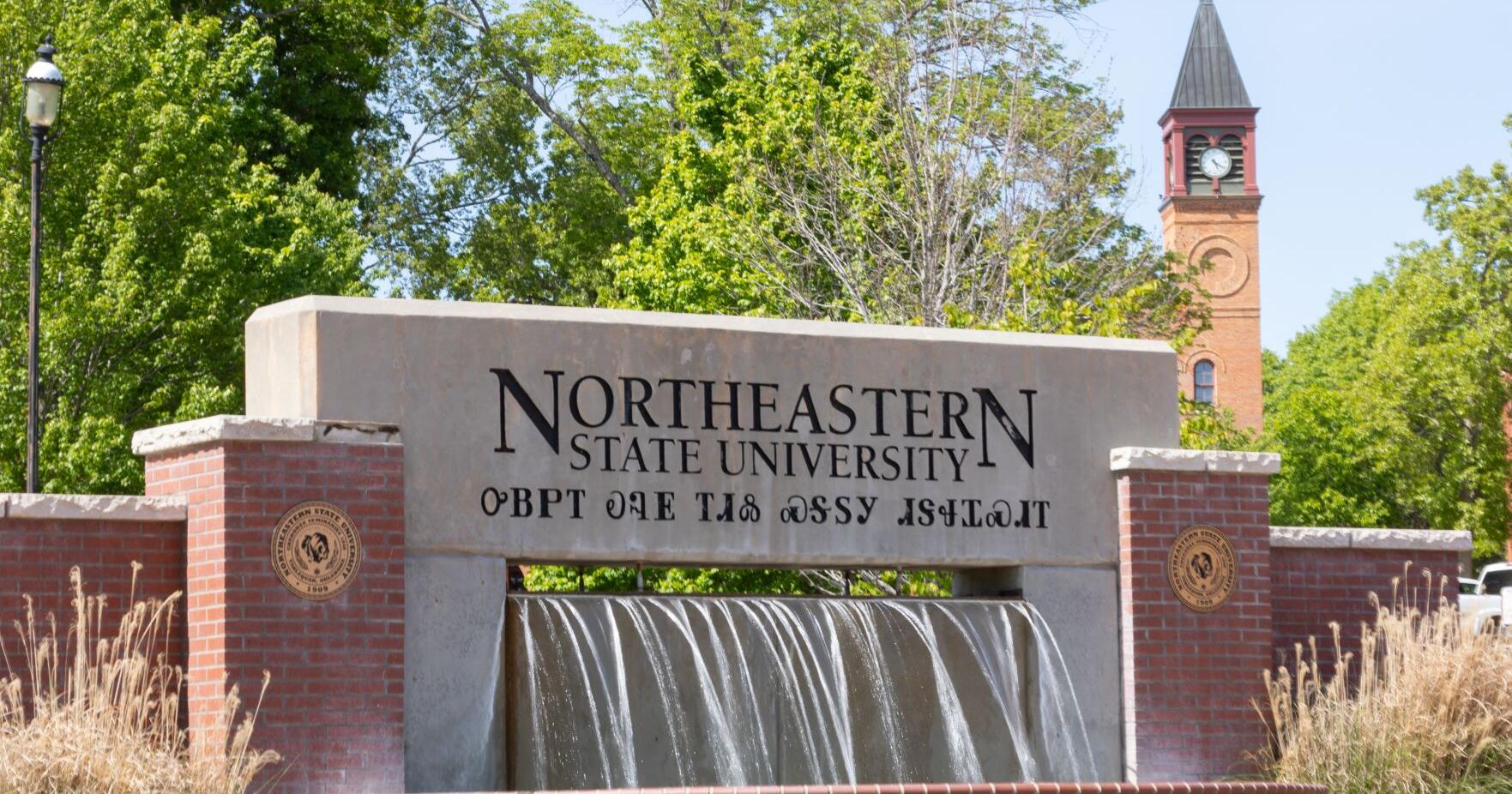 NSU to host RiverHawk Hype-Accepted Student Day, April 6 - Vimarsana News