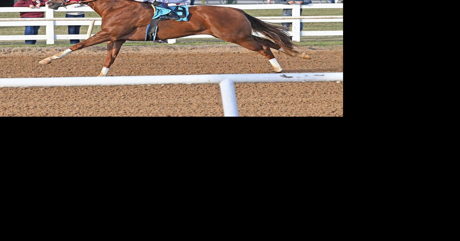 Quarter Horses kick off fall racing season at Will Rogers Downs ...