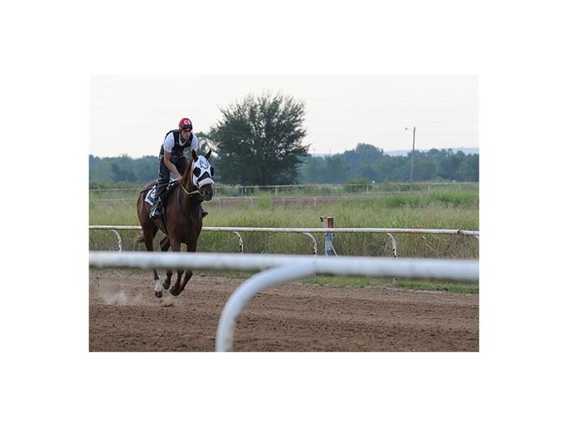Saddle Up for Fun: Your Guide to Oklahoma Blue Ribbon Downs Racino