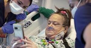 Woman is back on dialysis after doctors remove transplanted pig kidney - Vimarsana News