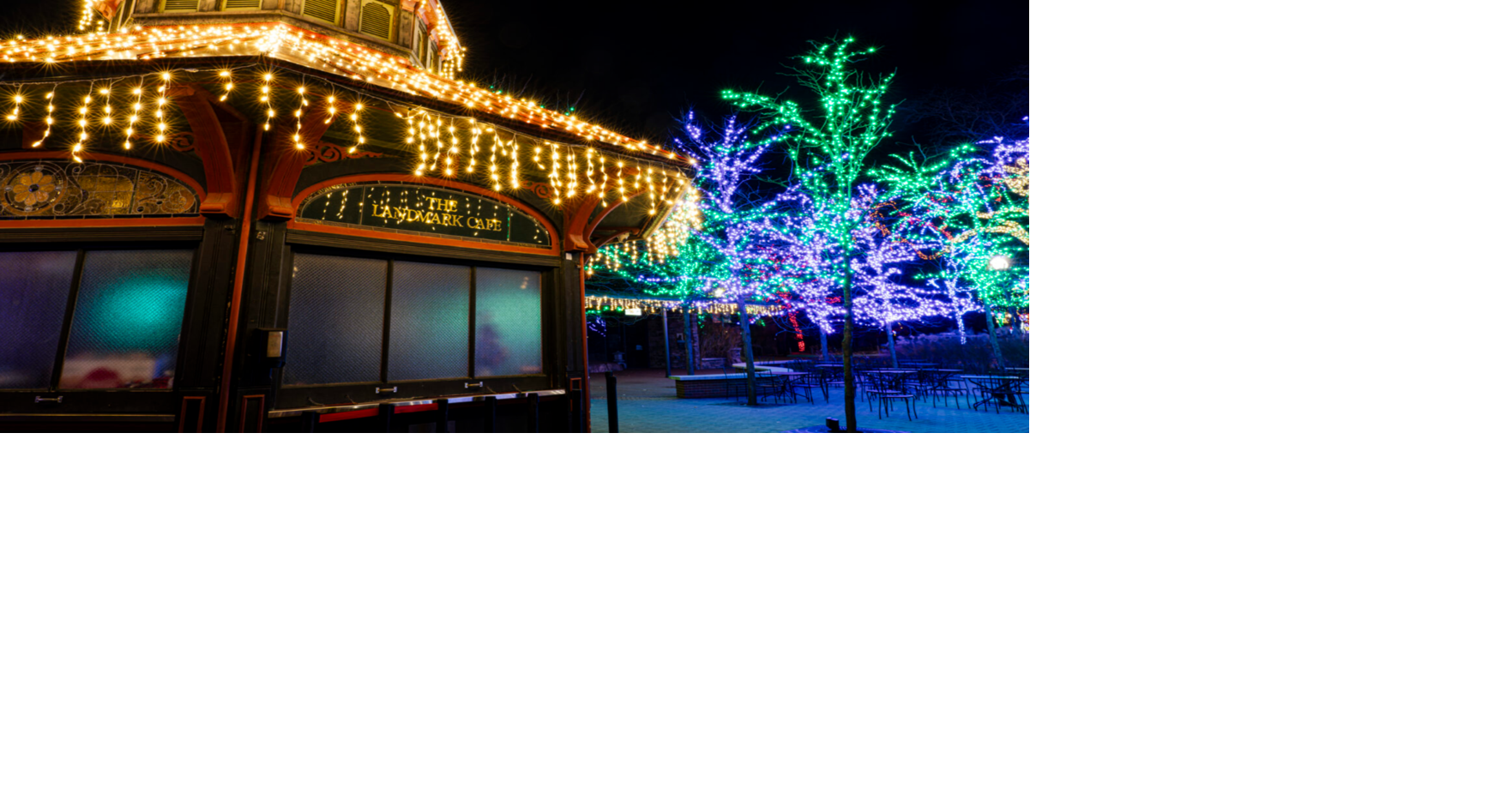 ZooLights returns to the Lincoln Park Zoo Events