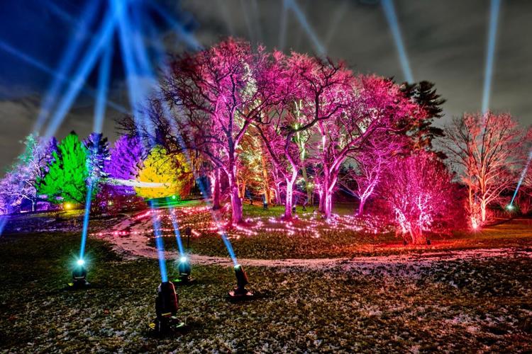 Illumination brings holiday magic back to The Morton Arboretum