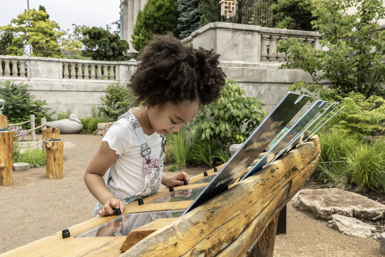 Shedd Aquarium opens Nature Exploration Garden image four